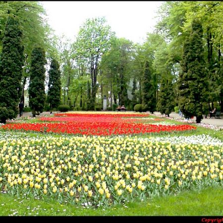 In parc